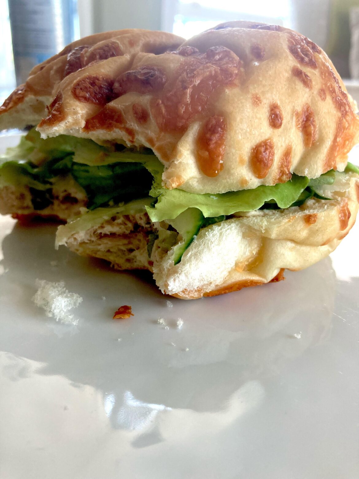 Tuna cucumber lettuce on cheese Kaiser bun