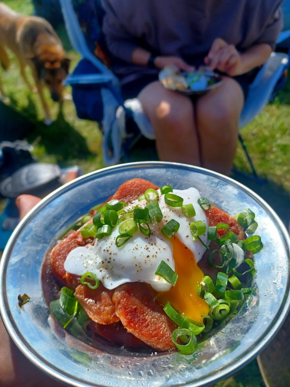 Fried Spam topped with poached egg I made whilst camping