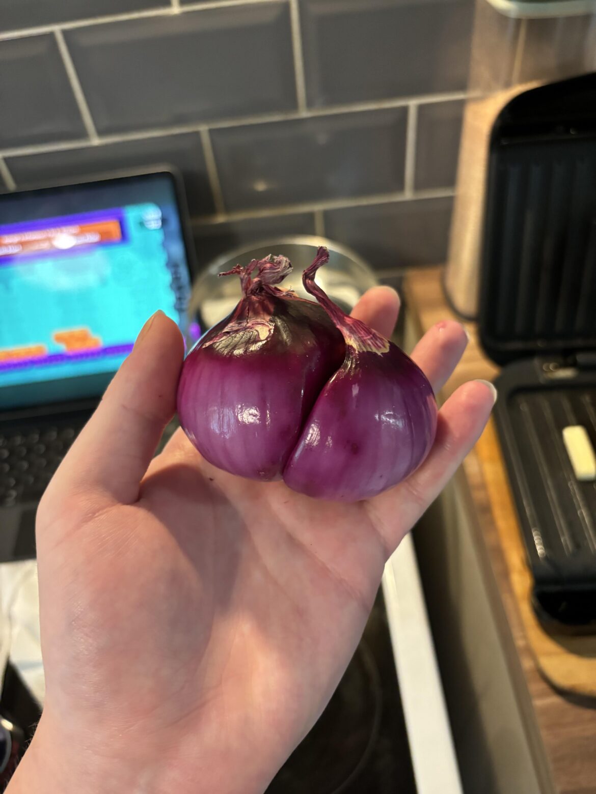 Two in one!! Was also one of the crispest onions I’ve had in a while