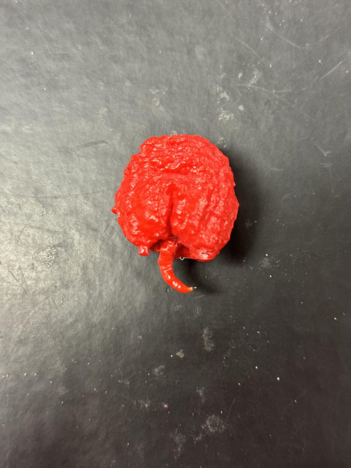 You know a pepper is spicy when it has it’s own dick to swing around.