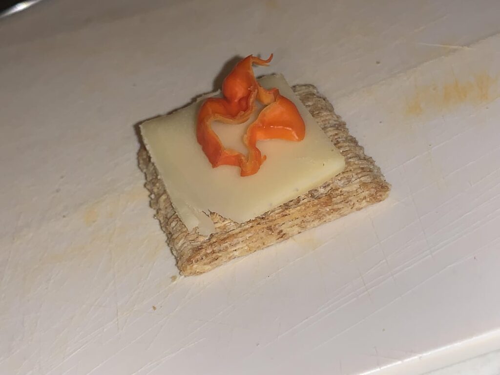 Fireworks for dinner! Reaper “lunchables” - Happy 4th!