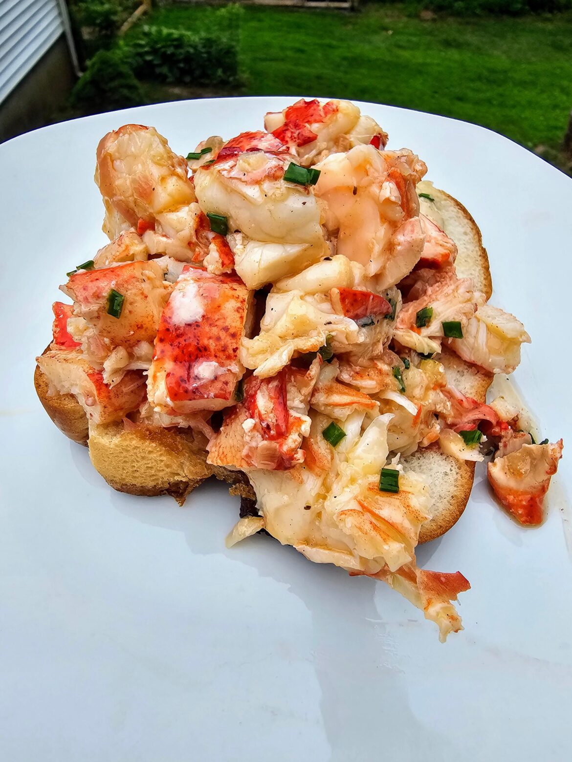 [Homemade] Sherry Butter Lobster Roll