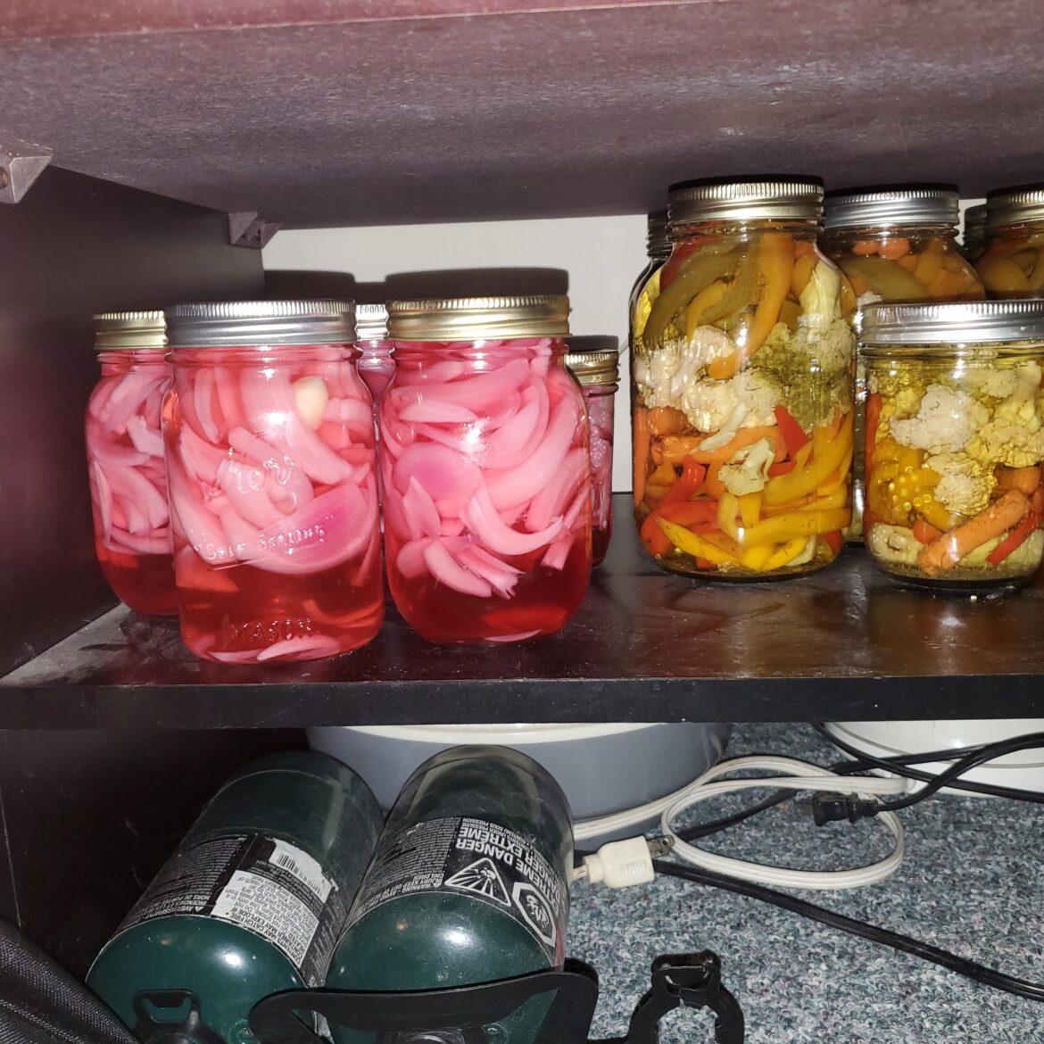 Pikledonions Pikledonions