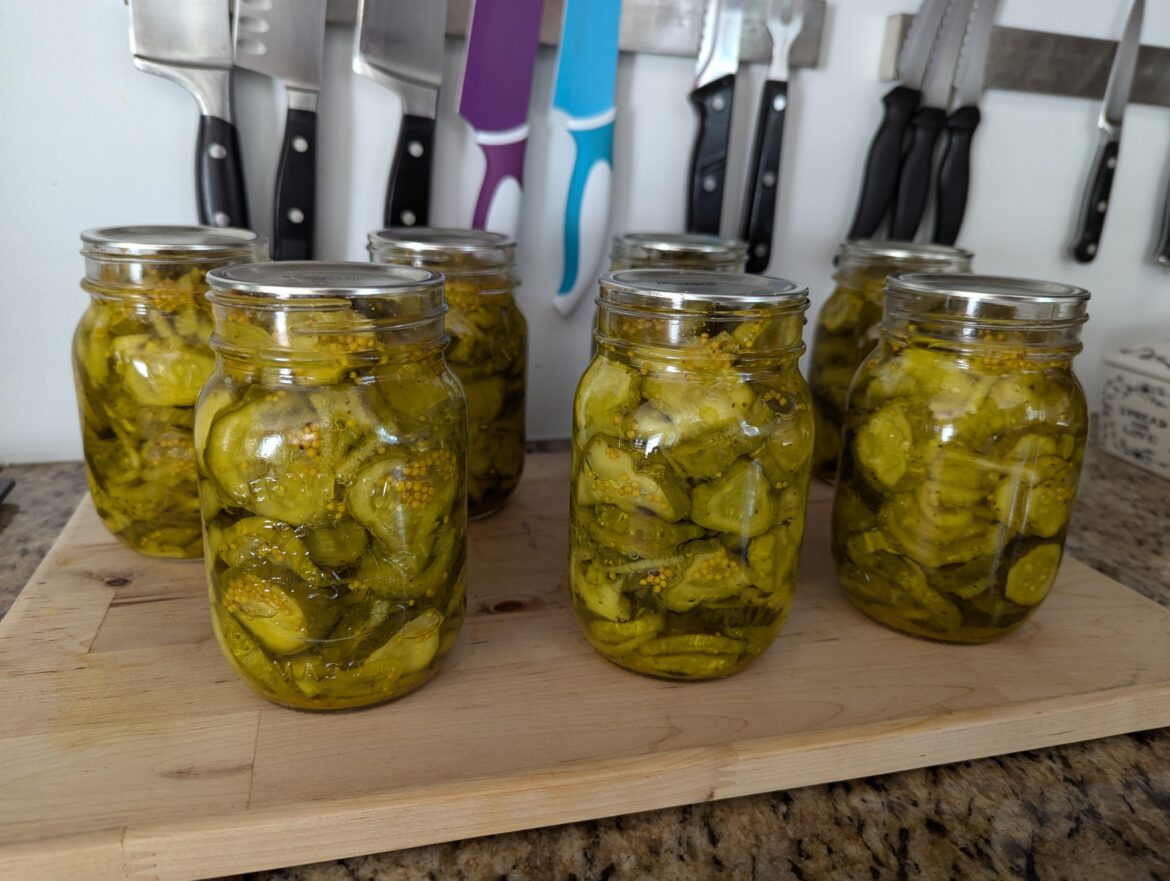 Traditional bread and butter pickles Traditional bread and butter pickles