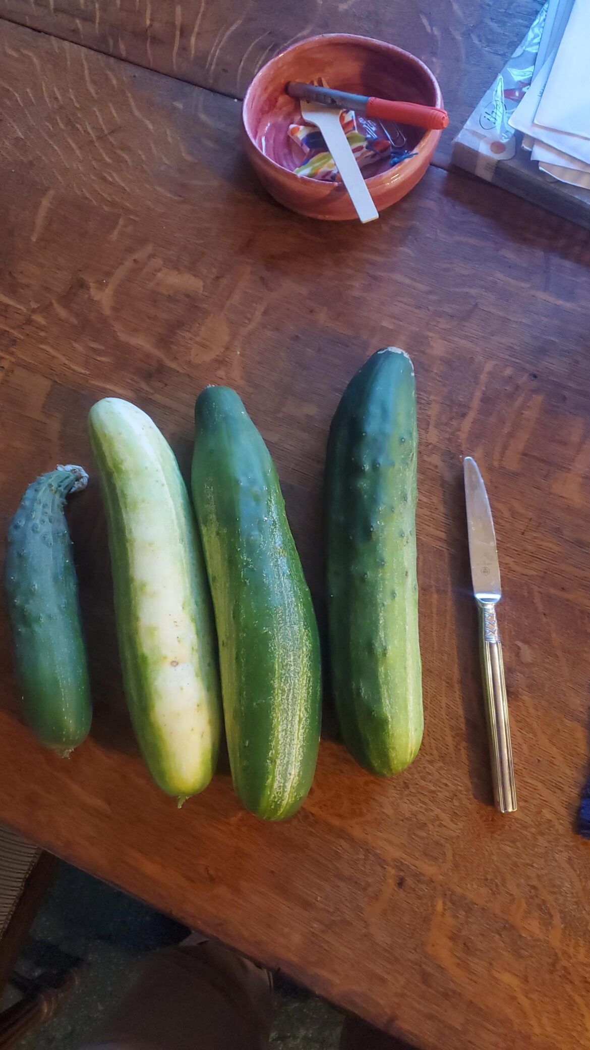 Are these cucumbers too big to be good pickles?