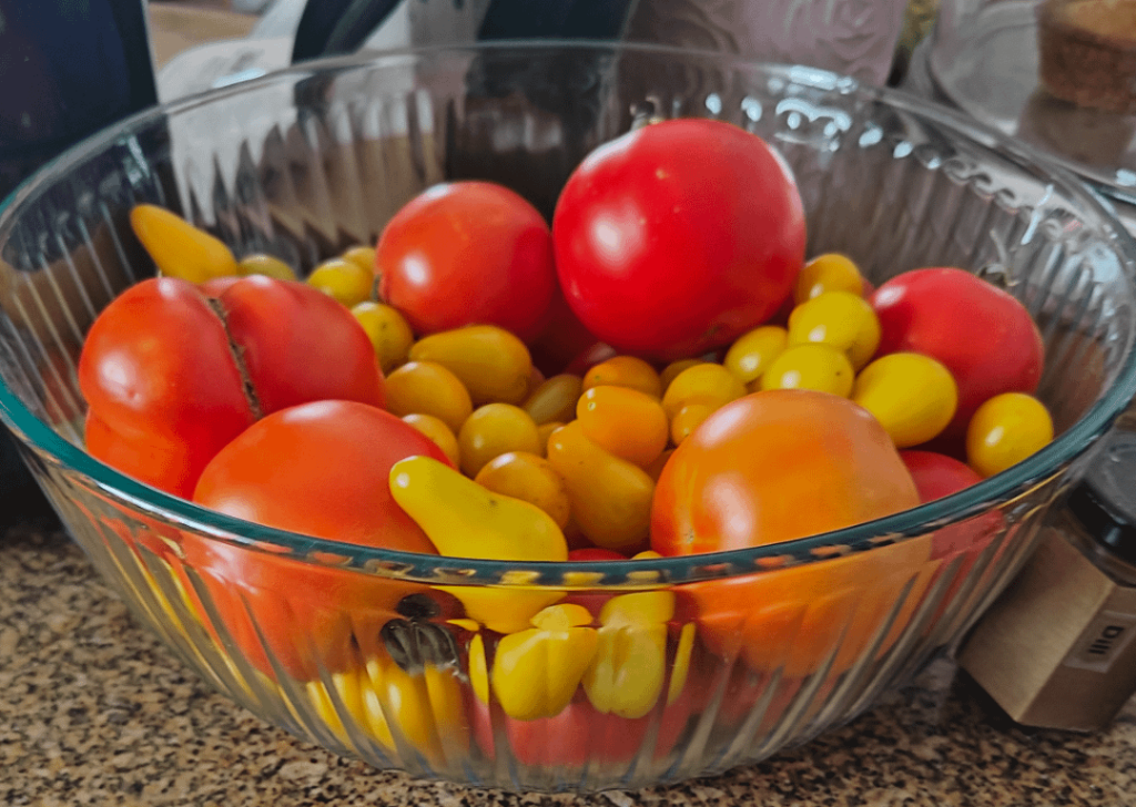 Yellow pear tomato salsa recipes?