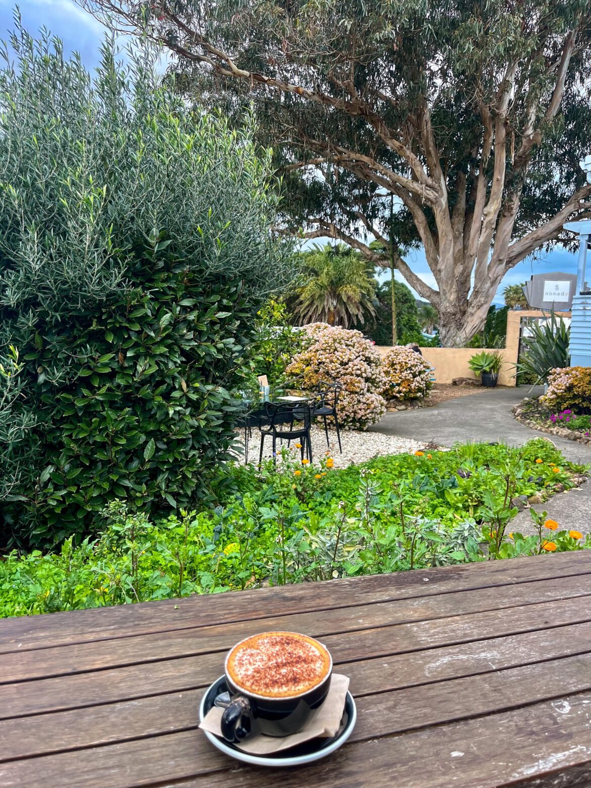 Another one of those New Zealand Capuccinos.