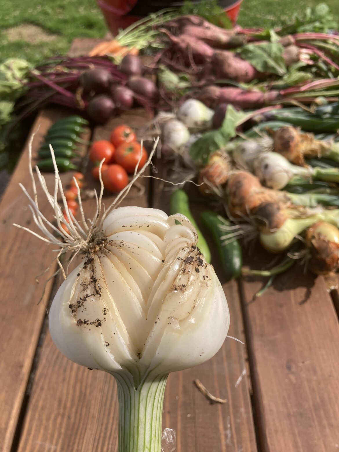 What happened to my opinion?!