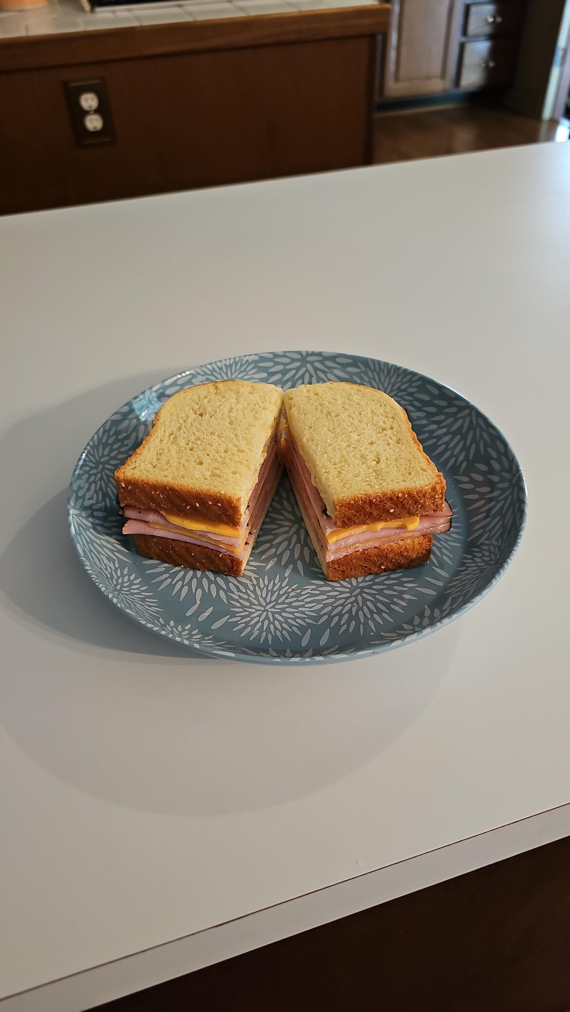 Just a regular ol ham and cheese sandwich.