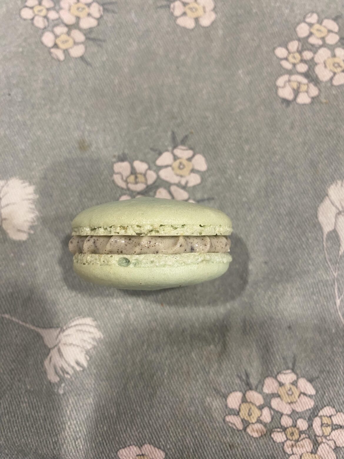First macaron attempt