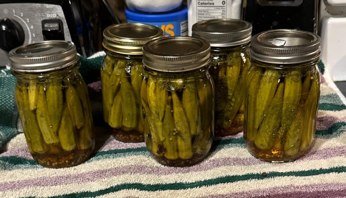 Pickled Okra