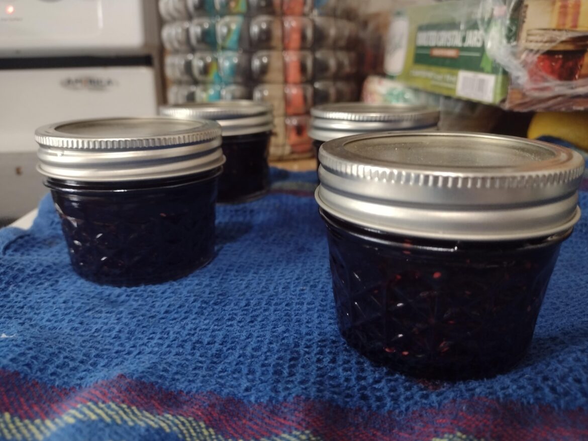 I canned my first jam today!