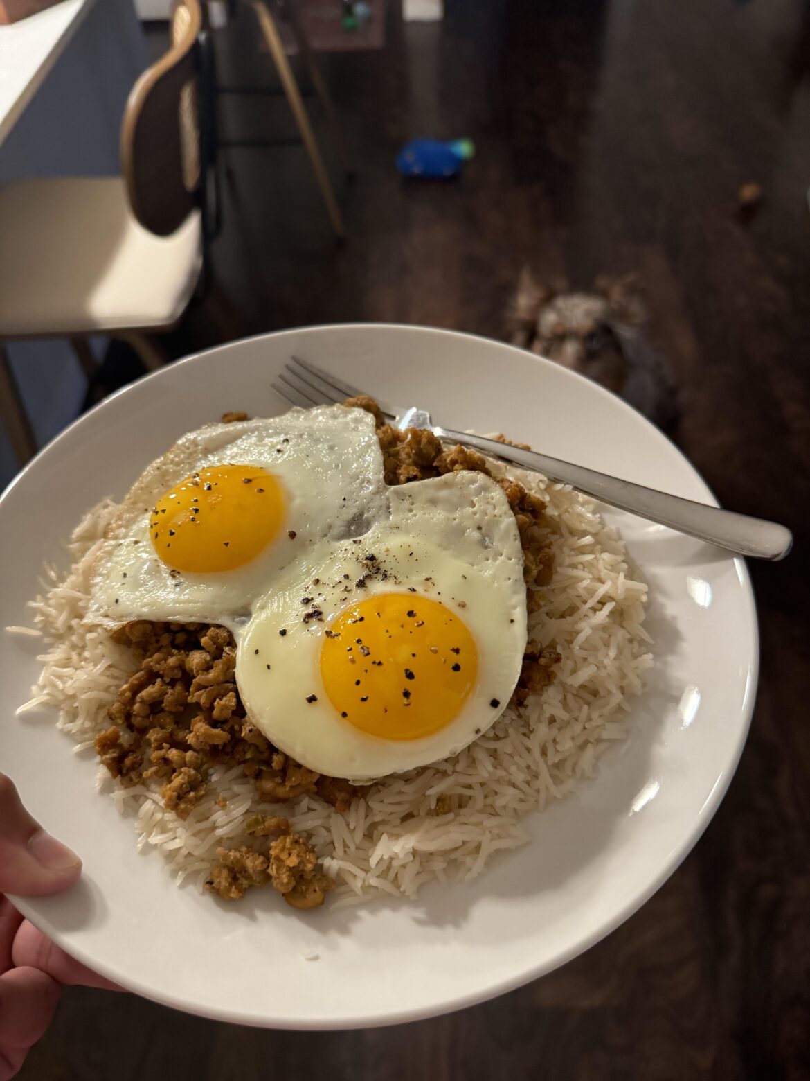 Turkey Picadillo with rice