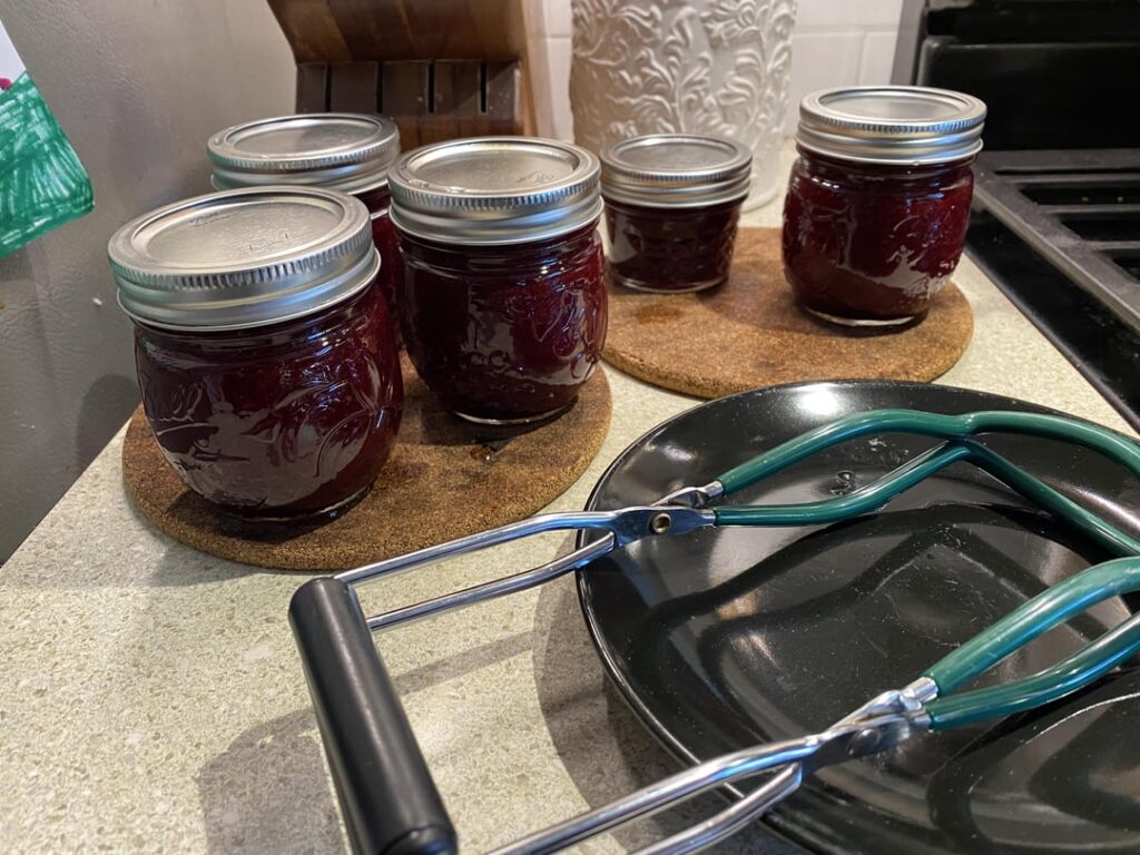 Homegrown Blackberry Jam