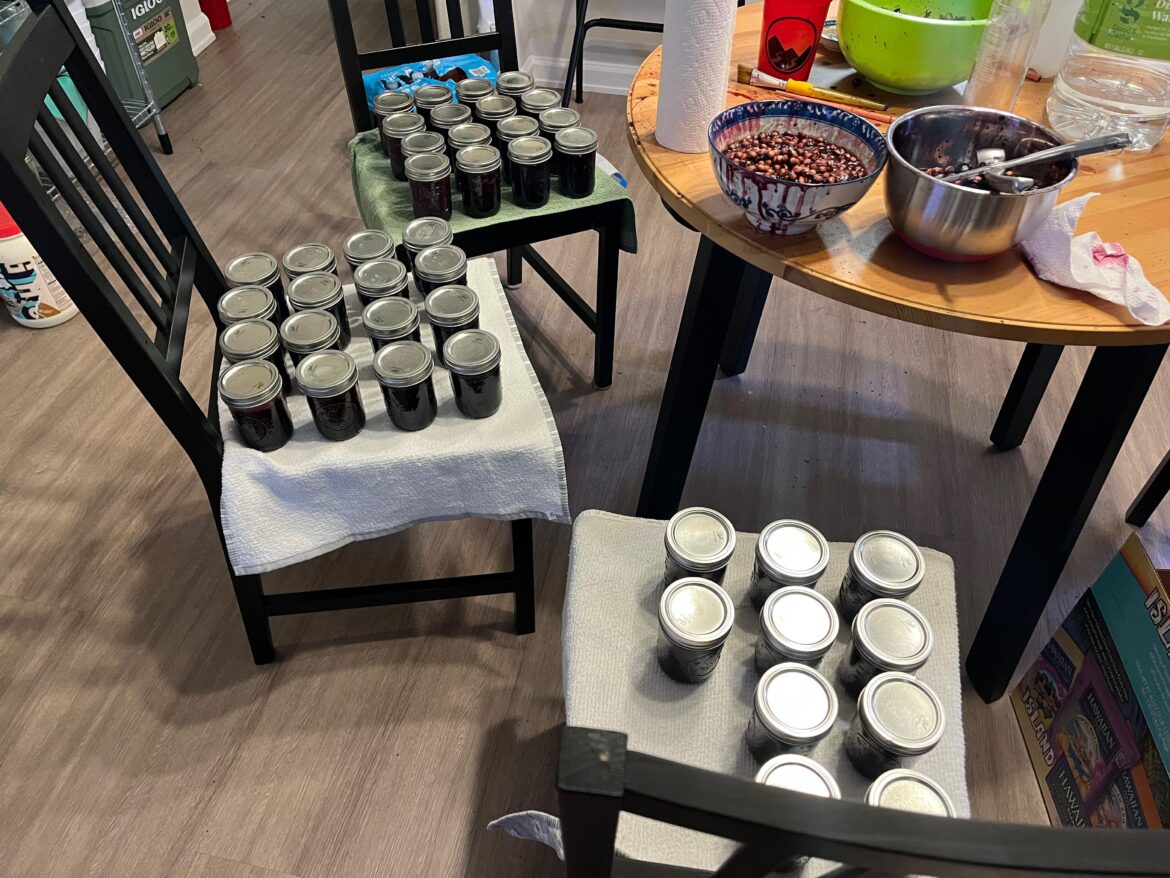 Got cherries for free from a farm, canned a total of 42 jars of cherry jam!