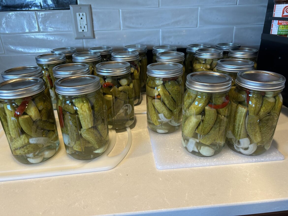 Spicy Dill Pickles