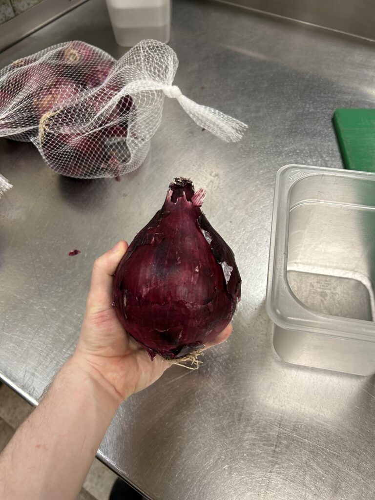 Have a good look at this massive guy I found at work yesterday