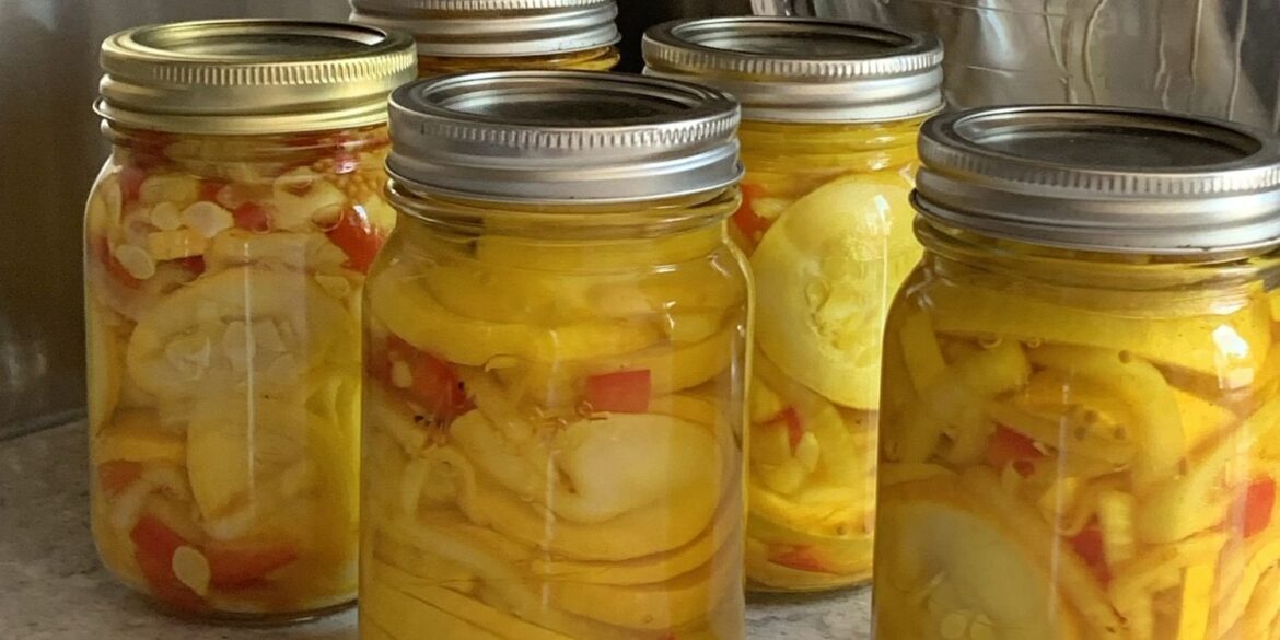 Pickled squash question