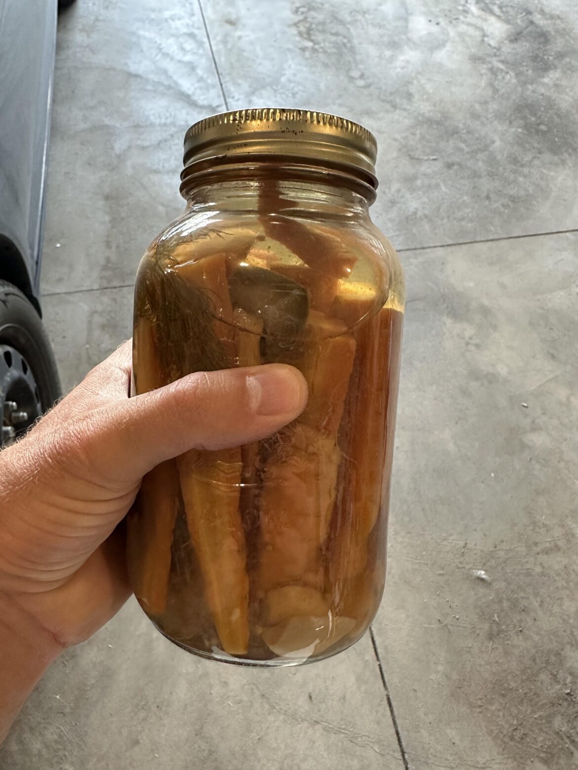 10 year old garlic jalapeño carrots