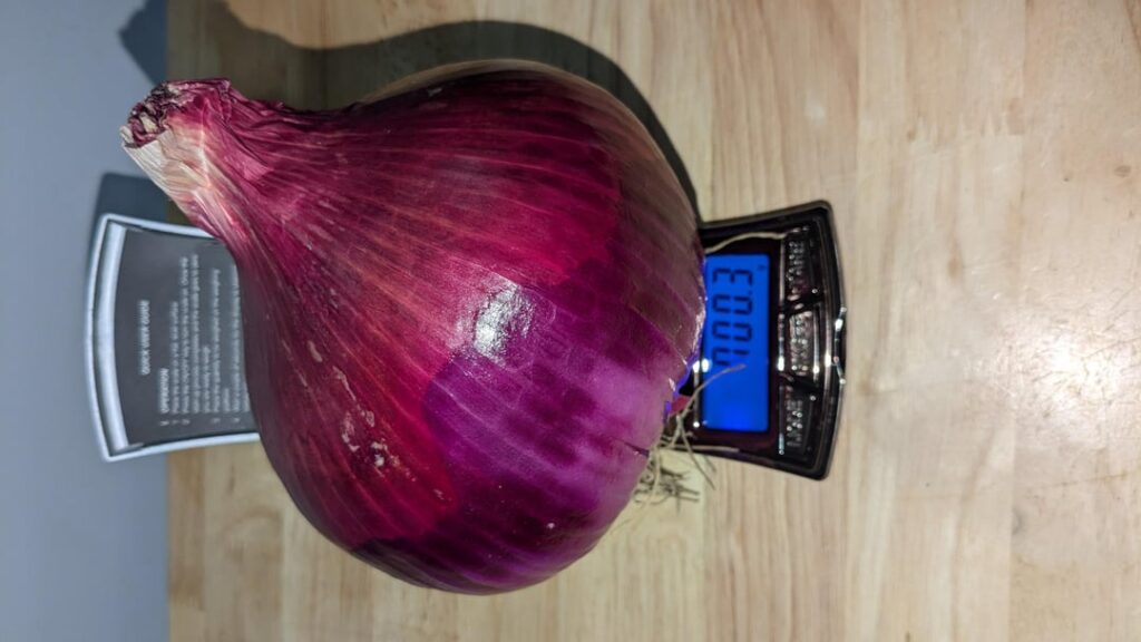 700g (1.54lb) red onion.