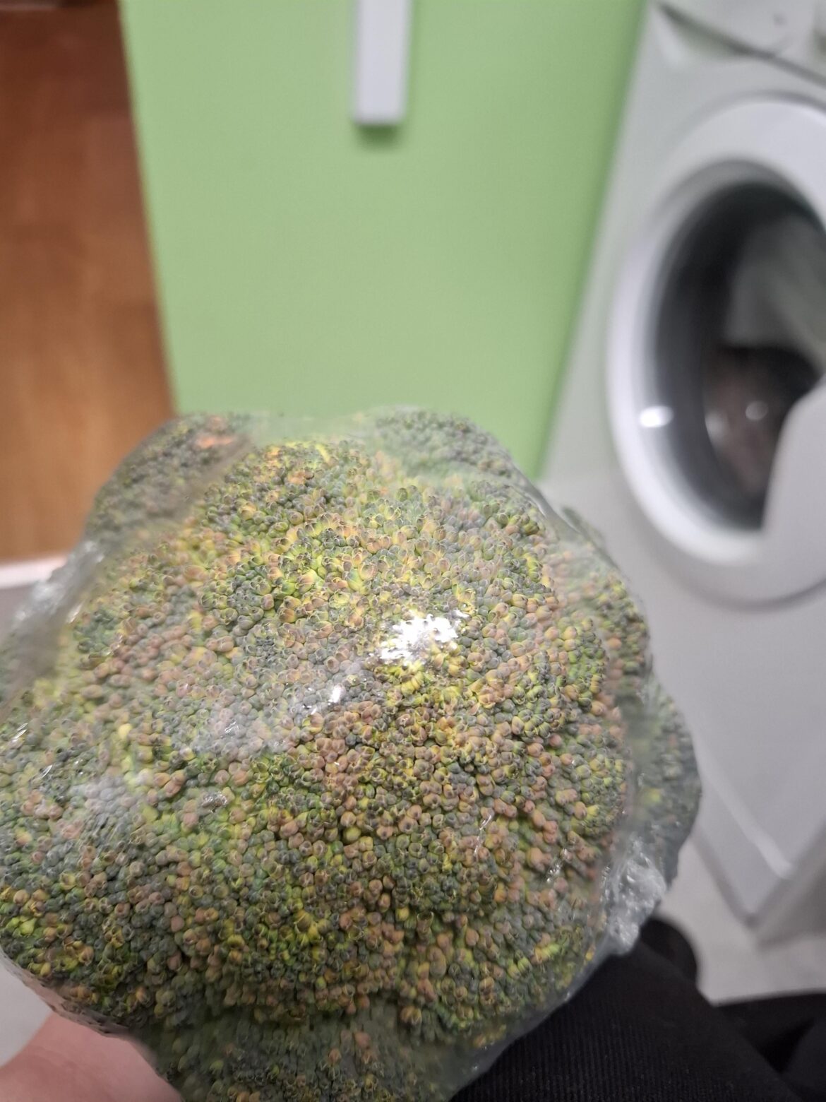 Hello not very fresh.