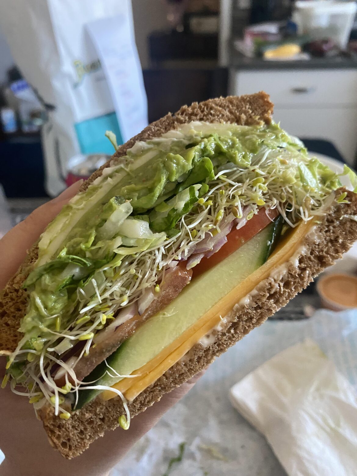 Most beautiful veggie sandwich I ever had