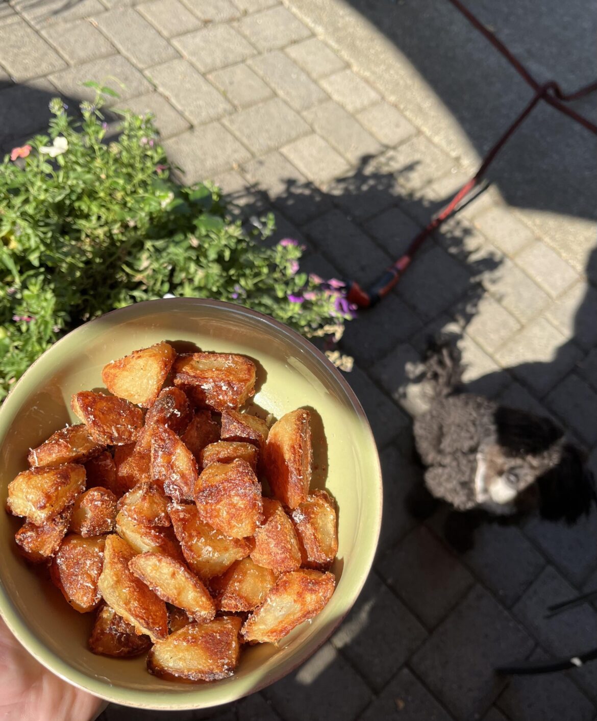 Kenji’s Roasted Potatoes made with Duckfat