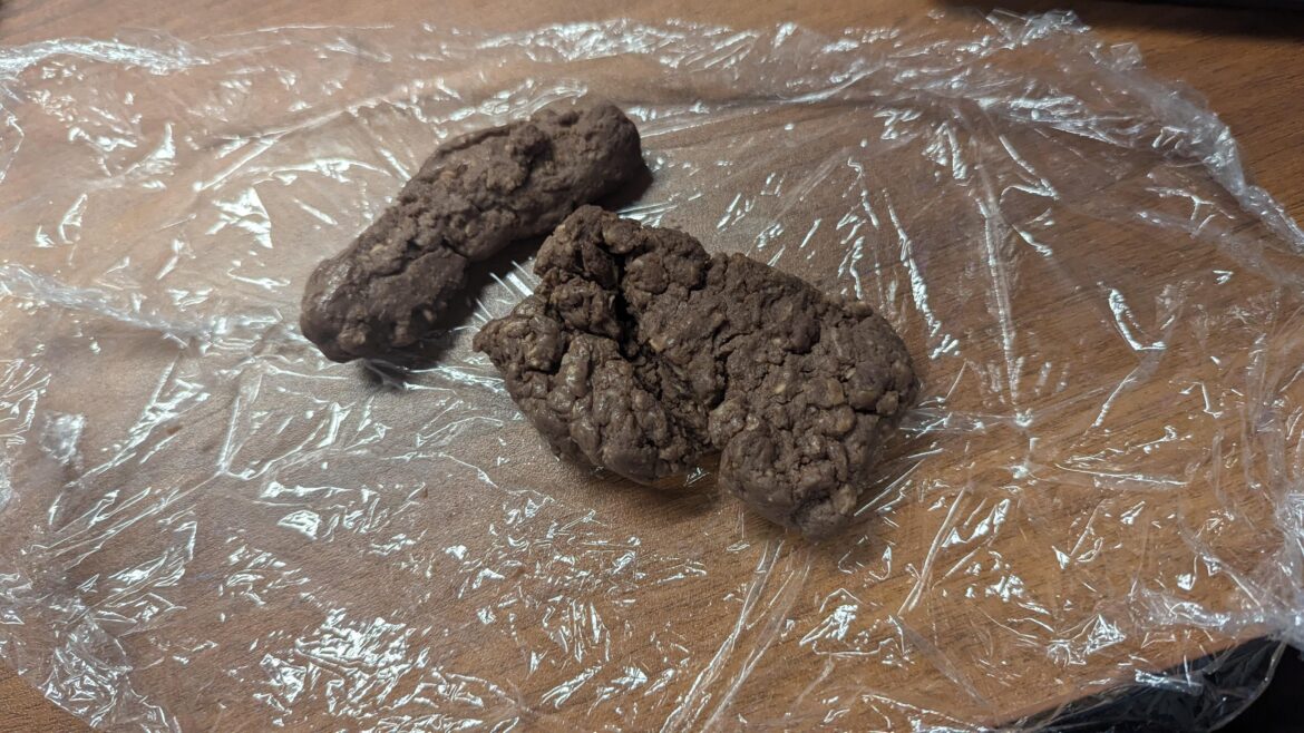 My homemade protein bar that I nibble on everyday during work hours