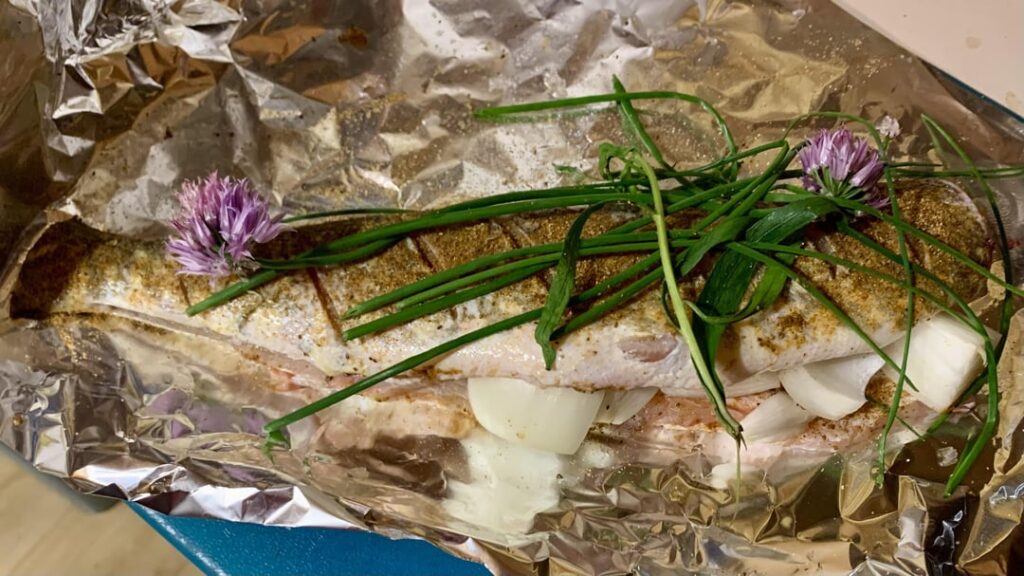 Onion Stuffed Northern Pike w- tarragon and chives (OC/w recipe)