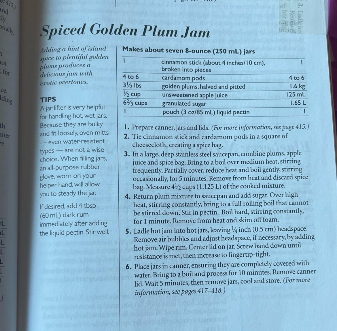 Are plums interchangeable in jam recipes? Are plums interchangeable in jam recipes?