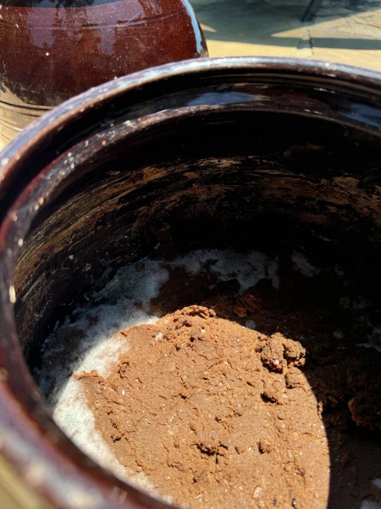 Please Help: Homemade Doenjang