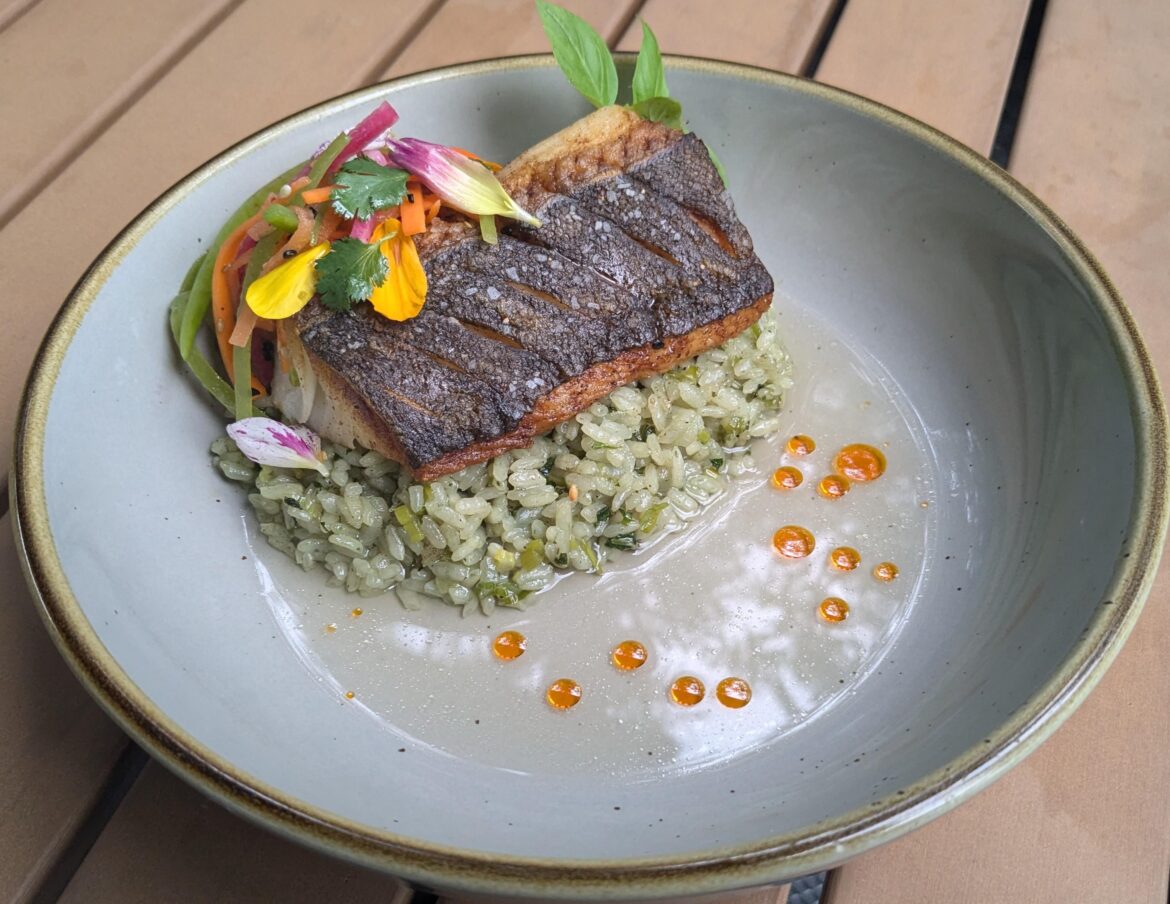 Black Cod, Ginger-Scallion Bamboo Rice, Sesame Matchstick Salad, Smoked Mushroom Dashi