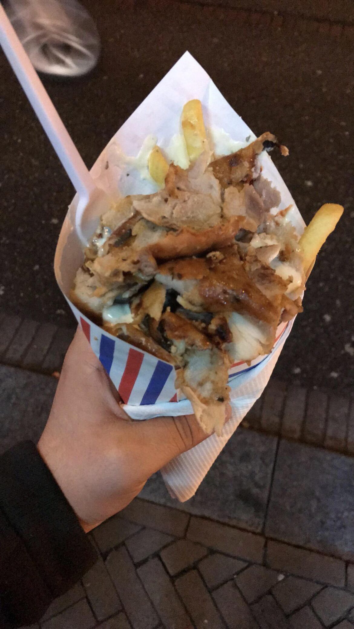 Patat Doner! Fries lamb meat and garlic mayo. Best stream meal I had in The Netherlands