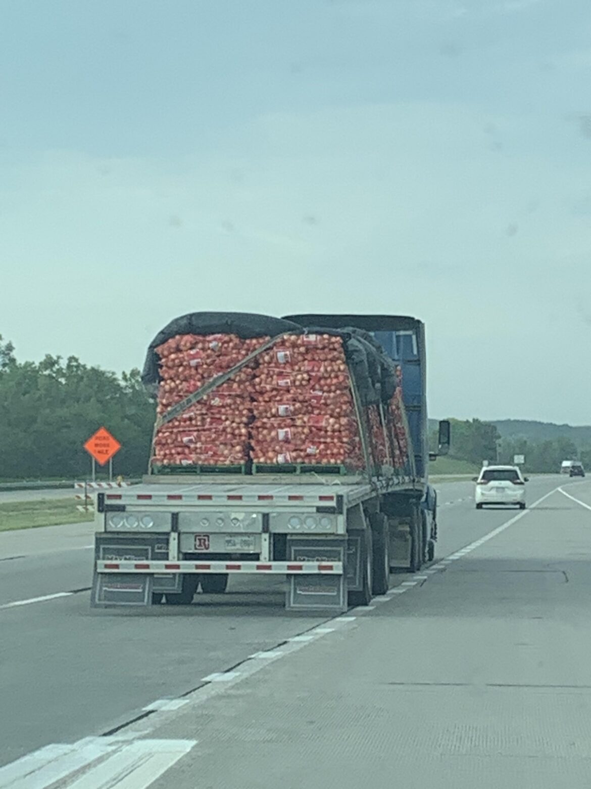 My road-trip has a new initiative