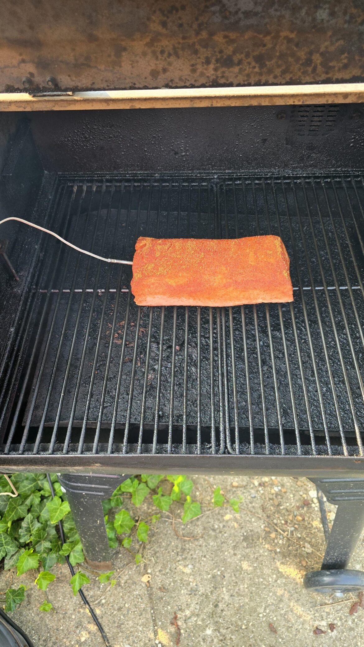 Smoking pork loin