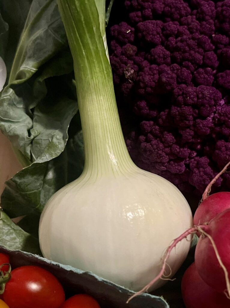 This Candy Onion was superb !! Incredibly sweet like Candy - bought at Farmers Market