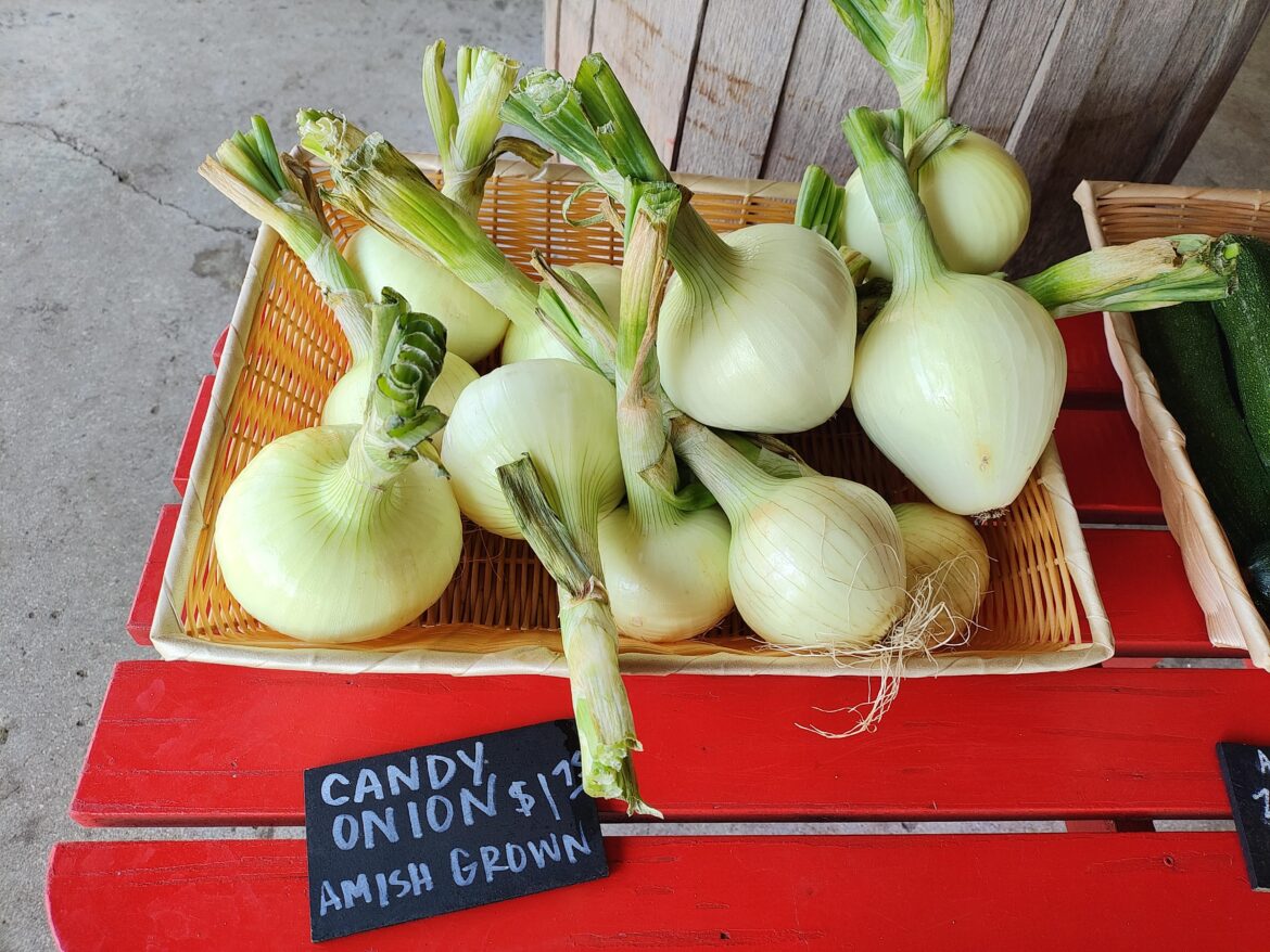 Northern Michigan Onions