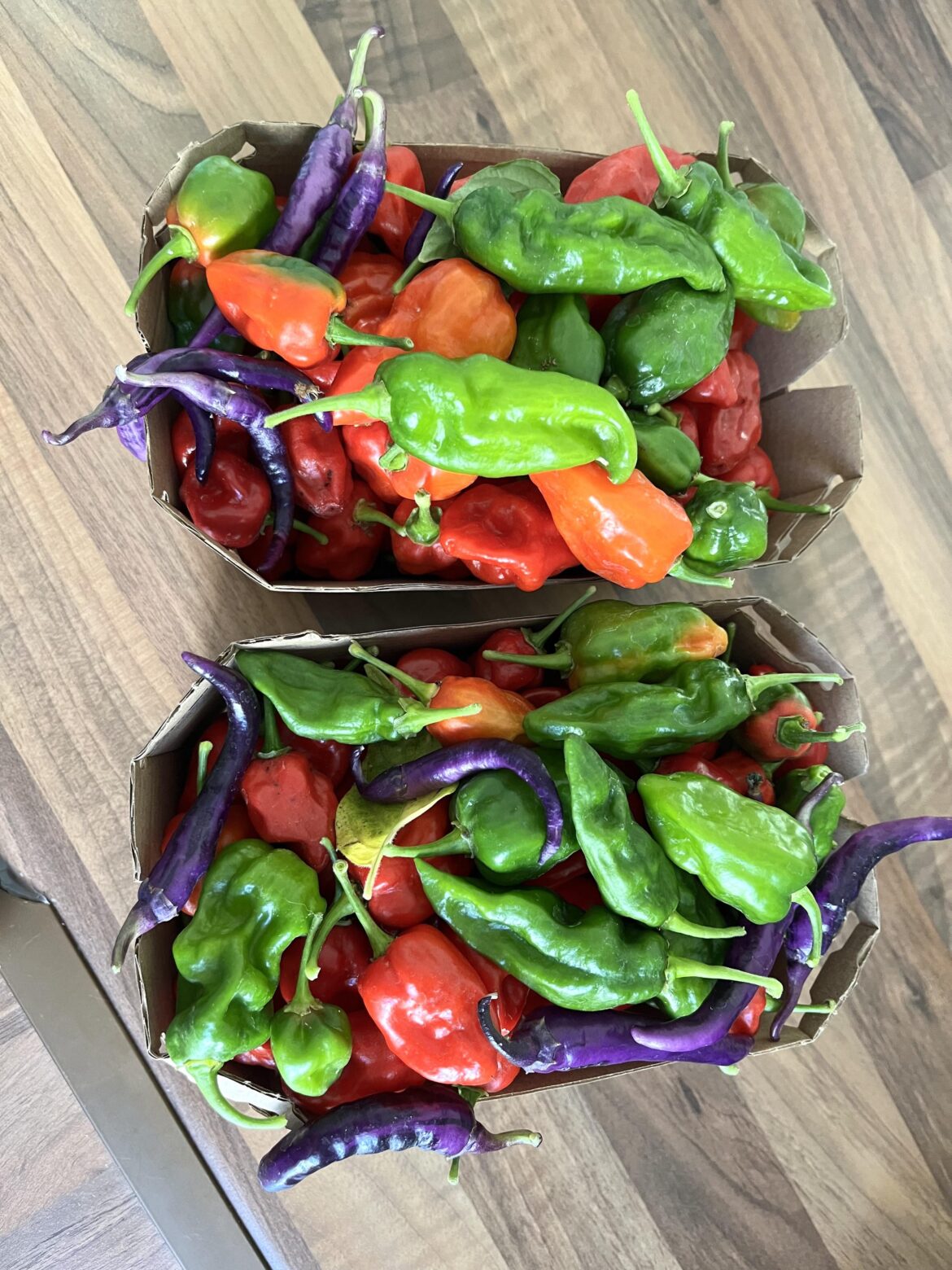 Happy weekend harvest