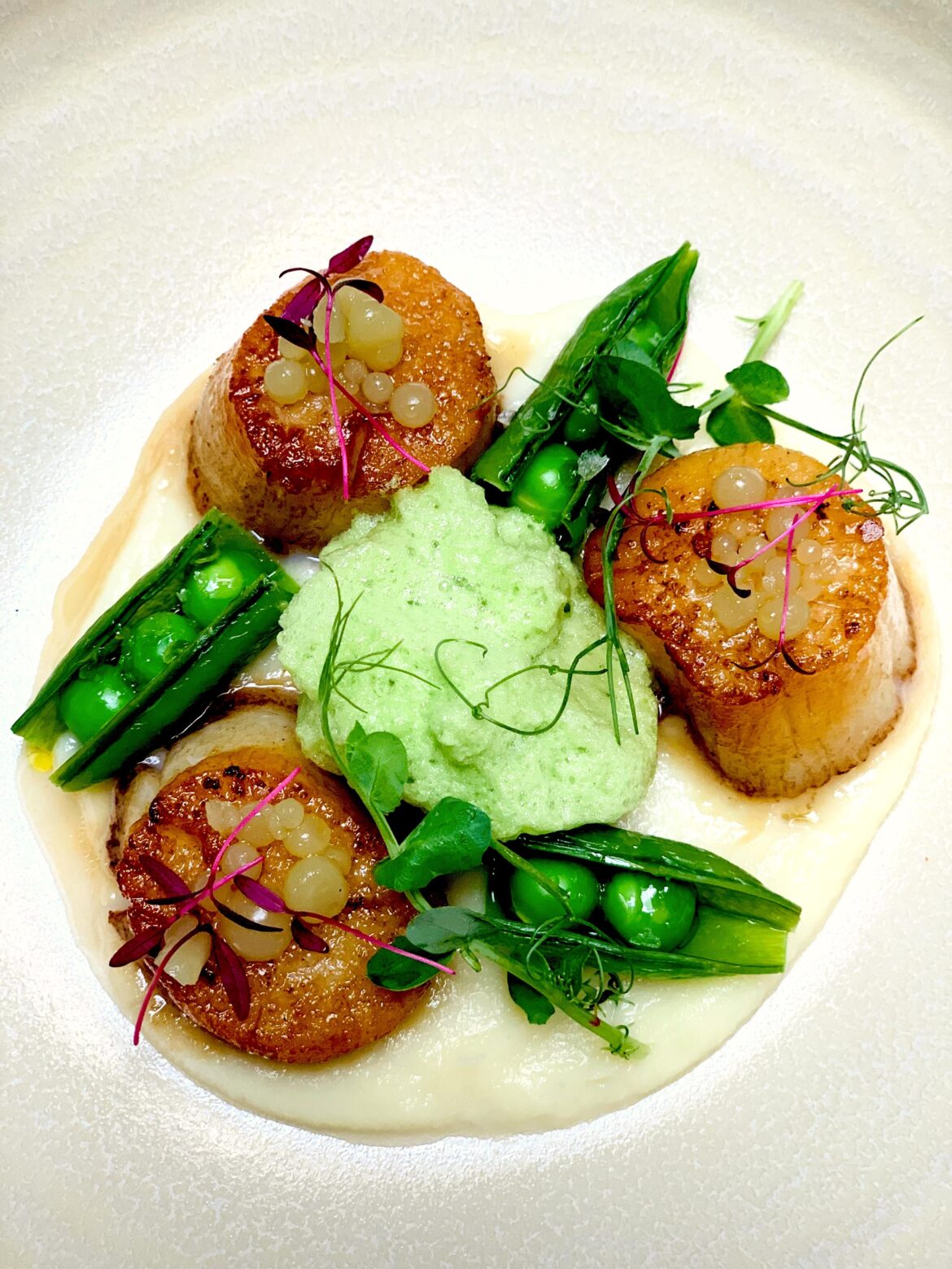 Summer scallop dish?