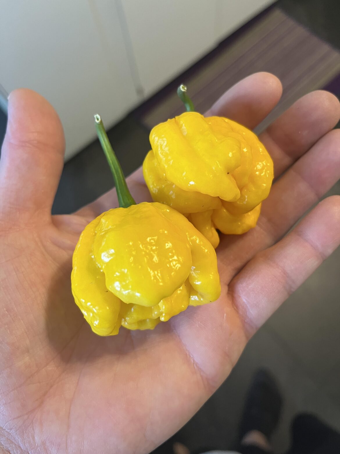 What kind of pepper is this?