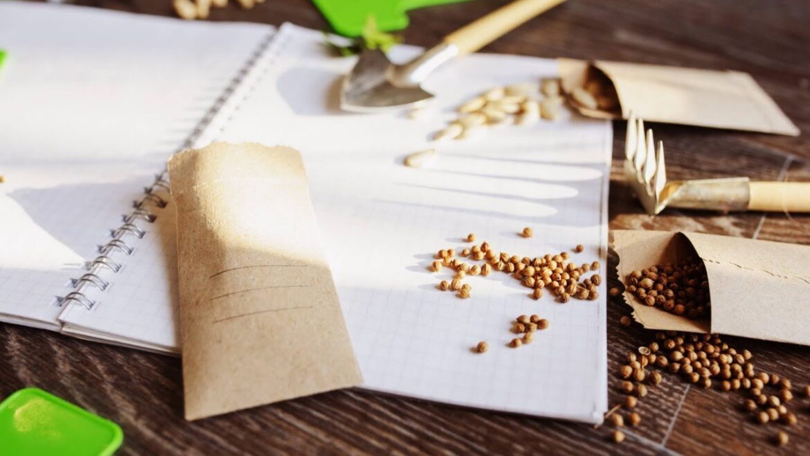 Plan Your Fall Vegetable Garden Plan Your Fall Vegetable Garden