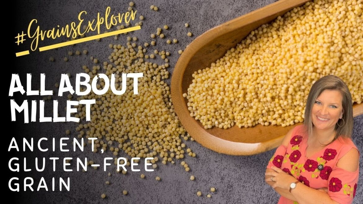 Let’s learn all about millet – Ancient, Gluten-Free Grain Let's learn all about millet - Ancient, Gluten-Free Grain