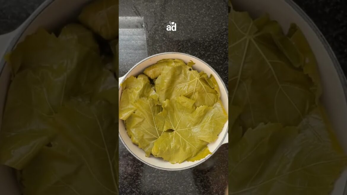 Stuffed Vine Leaves Stuffed Vine Leaves