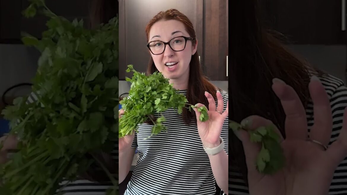 you should hate cilantro