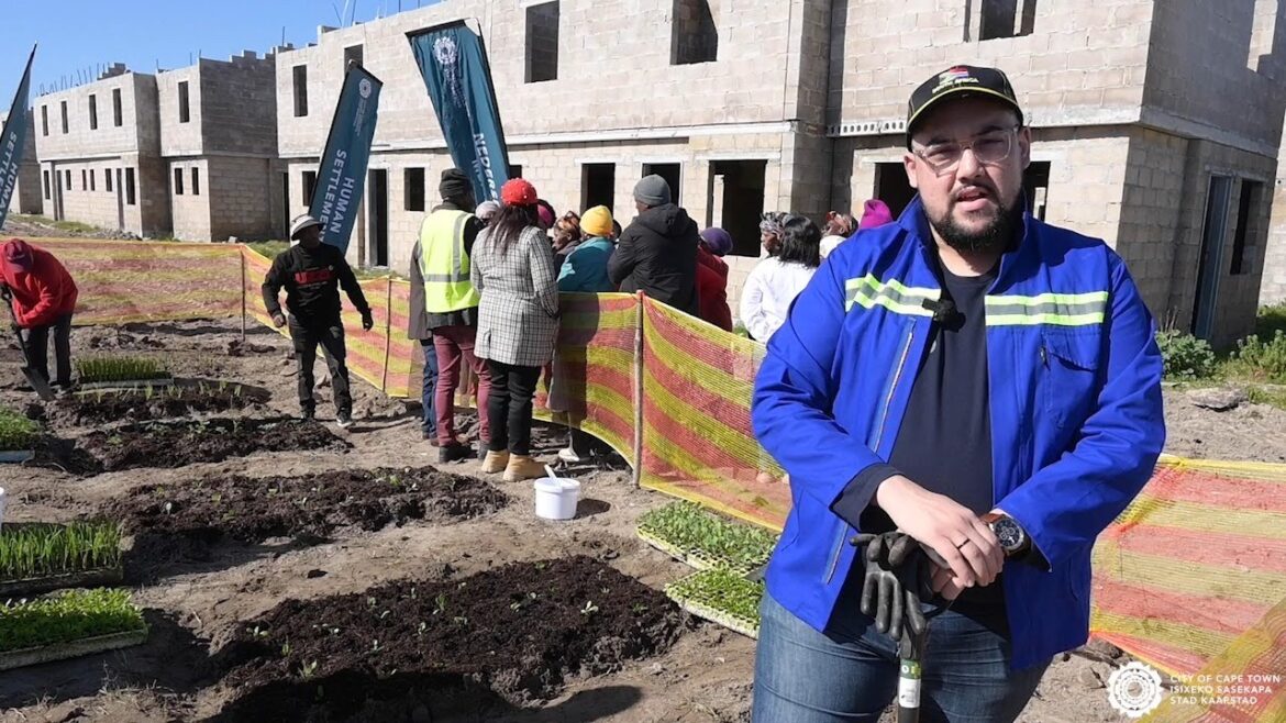 City celebrates Mandela’s legacy with Gugulethu vegetable garden