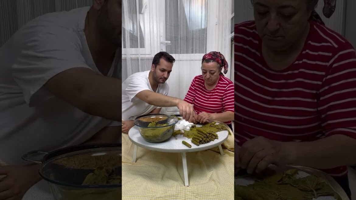 Delicious Yaprak Sarma Recipe: Learn to Make Perfect Grape Leaves #shorts #cooking #viralshorts Delicious Yaprak Sarma Recipe: Learn to Make Perfect Grape Leaves #shorts #cooking #viralshorts