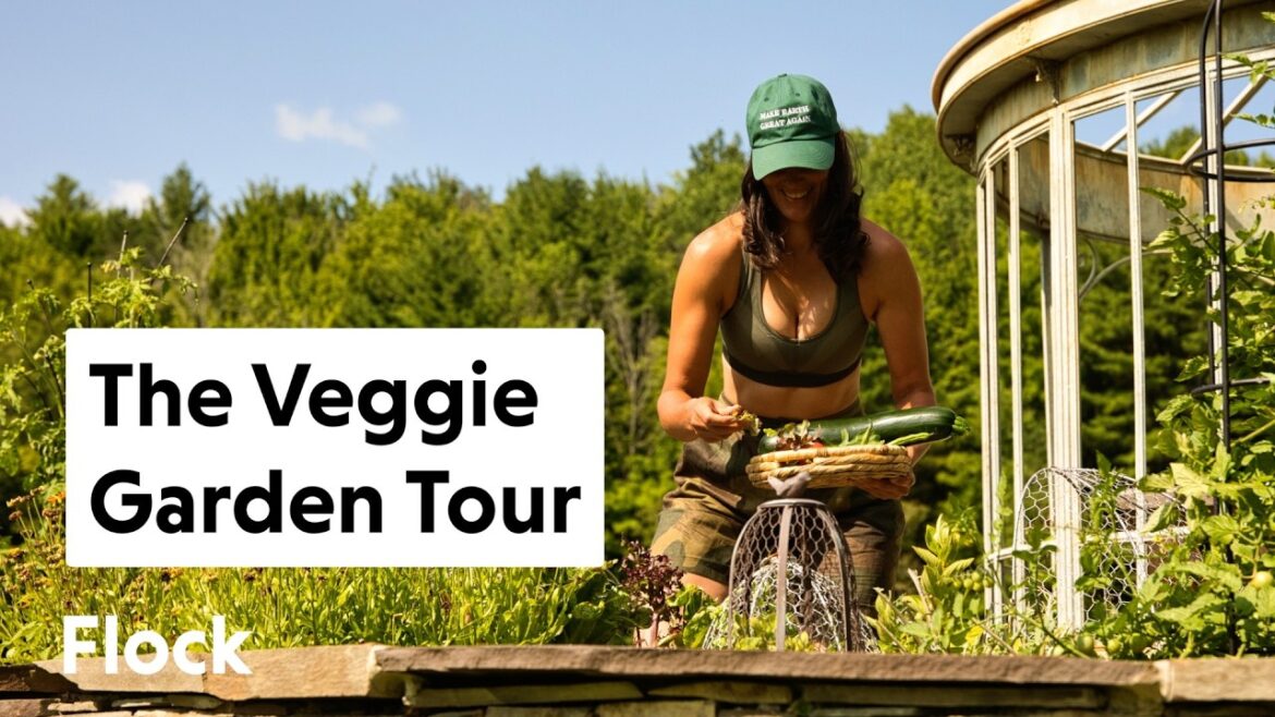 VEGETABLE GARDEN Tour — Ep. 267 VEGETABLE GARDEN Tour — Ep. 267
