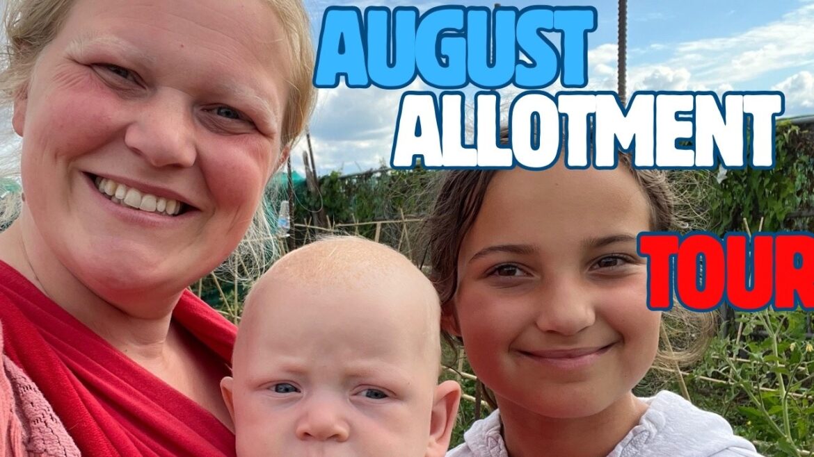 August 2024: Full Allotment Tour – Allotment Vegetable Garden August 2024: Full Allotment Tour - Allotment Vegetable Garden