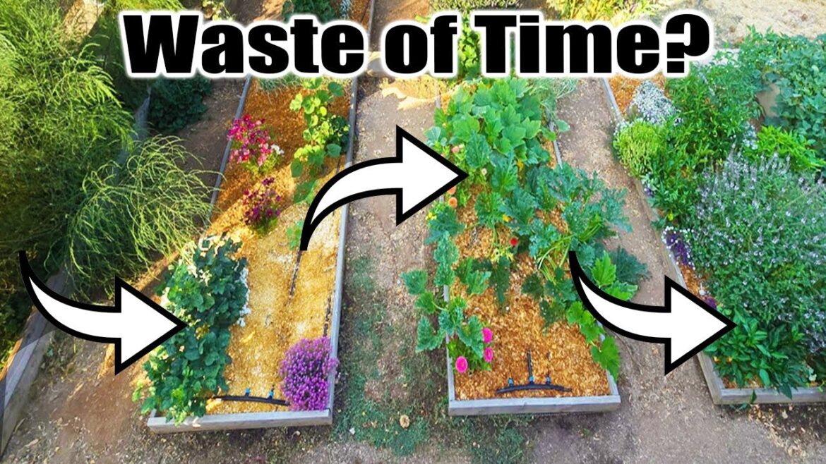 Is Rotating Crops Necessary for the Vegetable Garden? Is Rotating Crops Necessary for the Vegetable Garden?