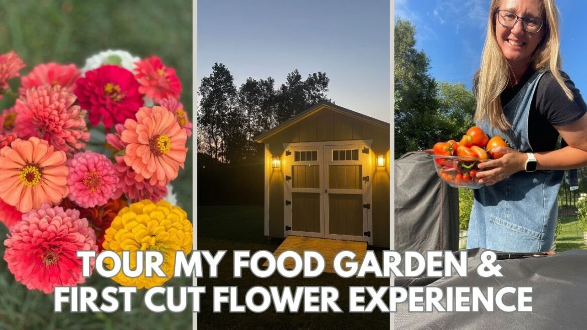 2024 Garden Tour: Vegetable Garden & My First Cut Flower Garden Experience 2024 Garden Tour: Vegetable Garden & My First Cut Flower Garden Experience